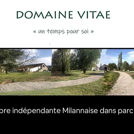 Domaine Vitae * Rabrunain